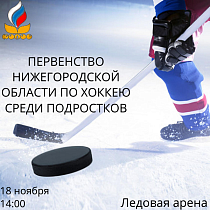 Первенство Нижегородской области по хоккею среди подростков (2013-2014 г.р.) 