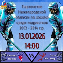 Первенство Нижегородской области по  хоккею среди подростков 2013 - 2014 г.р.