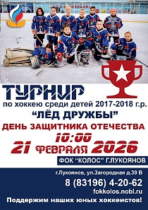  Турнир по хоккею среди детей 2017 - 2018 года рождения «Лёд дружбы»