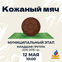 Кожаный мяч. Муниципальный этап. Младшая группа 2015-2016г.р.