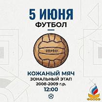 Кожаный Мяч. Зональный этап среди юношей 2008-2009 г.р.