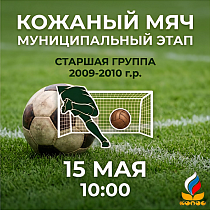 Кожаный мяч. Муниципальный этап. Старшая группа 2009-2010 г.р.
