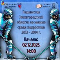 Первенство Нижегородской области по хоккею среди подростков 2013 - 2014 г.