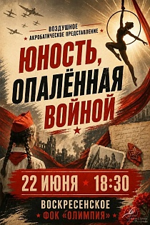 Воздушное акробатическое представление Центра гимнастики Анны Геллертовой (г.Нижний Новгород) 