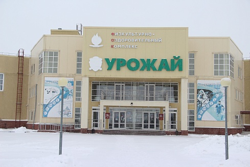 Государственное автономное учреждение Нижегородской области «Физкультурно-оздоровительный комплекс в с. Починки Нижегородской области»
