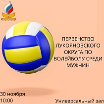 Первенство Лукояновского округа по волейболу среди мужчин